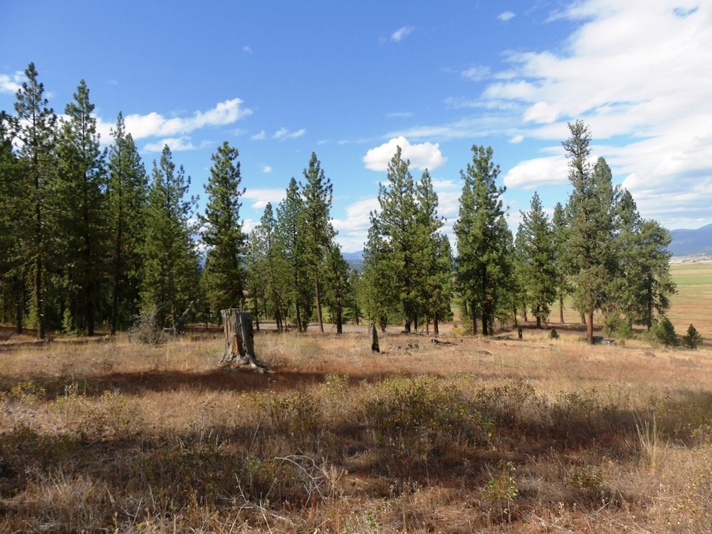 Lot 24 Timber Ridge Drive, Unit 24 New Meadows, ID 83654 - Photo 13 of 17