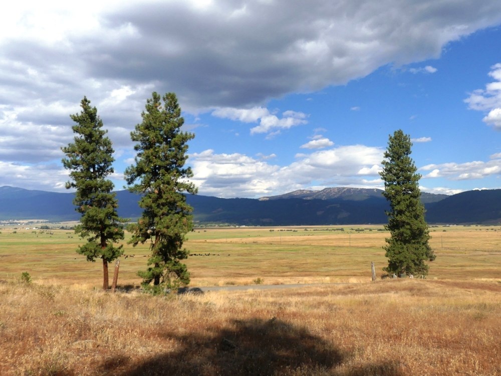 Lot 24 Timber Ridge Drive, Unit 24 New Meadows, ID 83654 - Photo 15 of 17