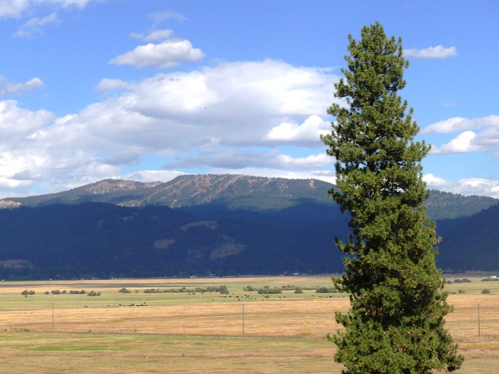 Lot 24 Timber Ridge Drive, Unit 24 New Meadows, ID 83654 - Photo 3 of 17