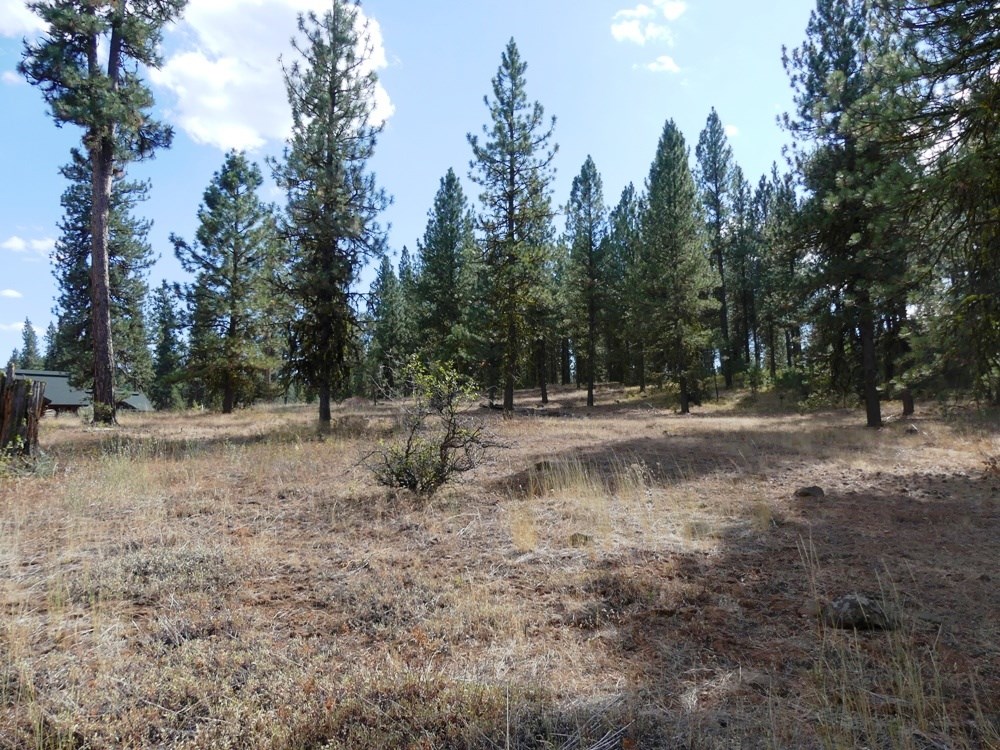 Lot 24 Timber Ridge Drive, Unit 24 New Meadows, ID 83654 - Photo 7 of 17