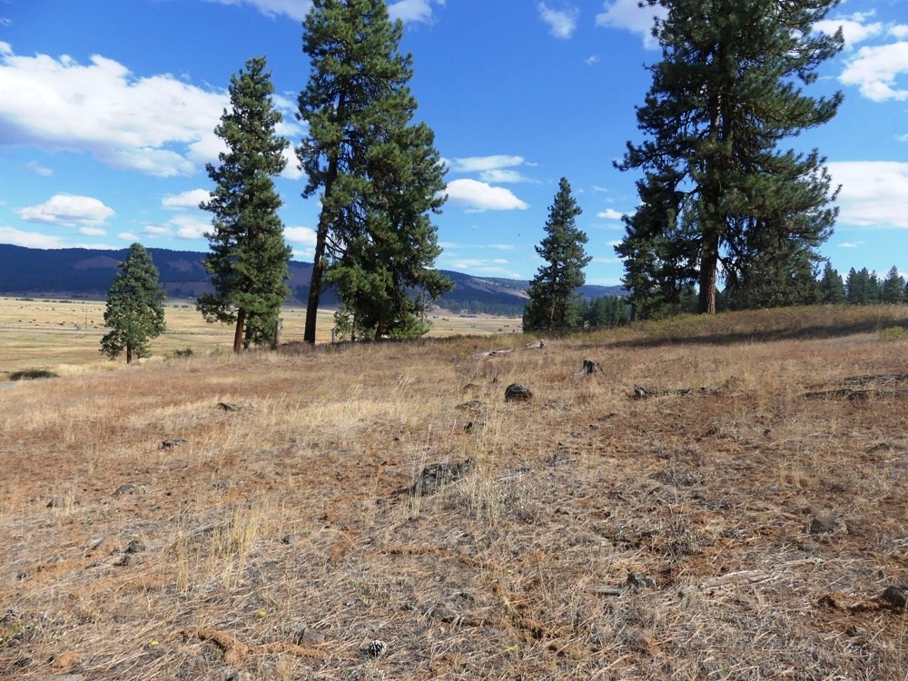 Lot 24 Timber Ridge Drive, Unit 24 New Meadows, ID 83654 - Photo 8 of 17