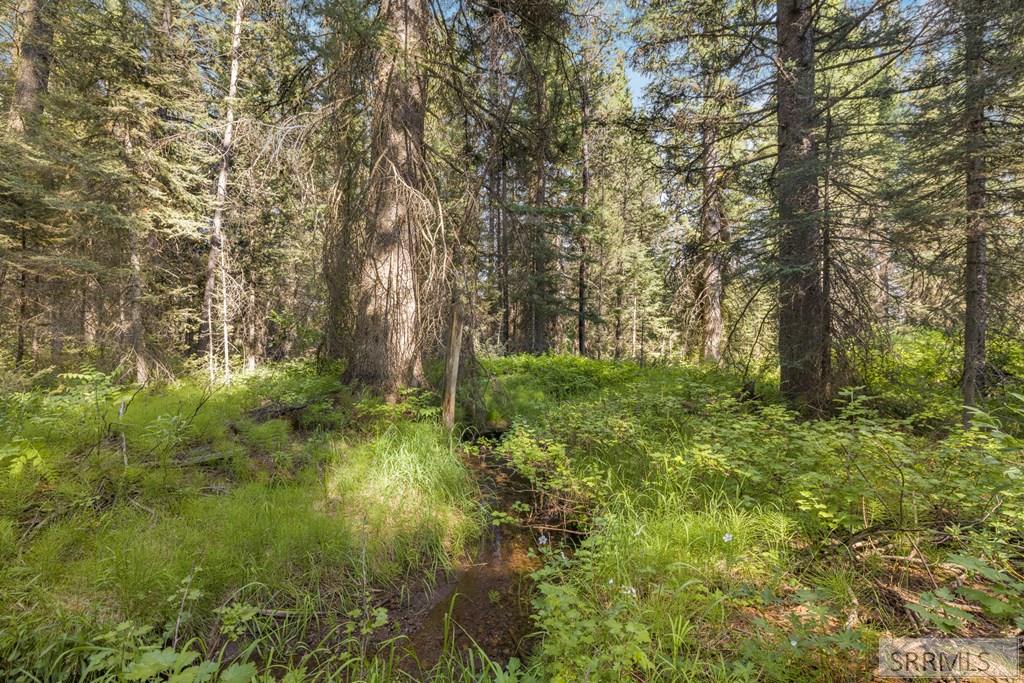 3541 Browning Road Island Park, ID 83429 - Photo 31 of 31