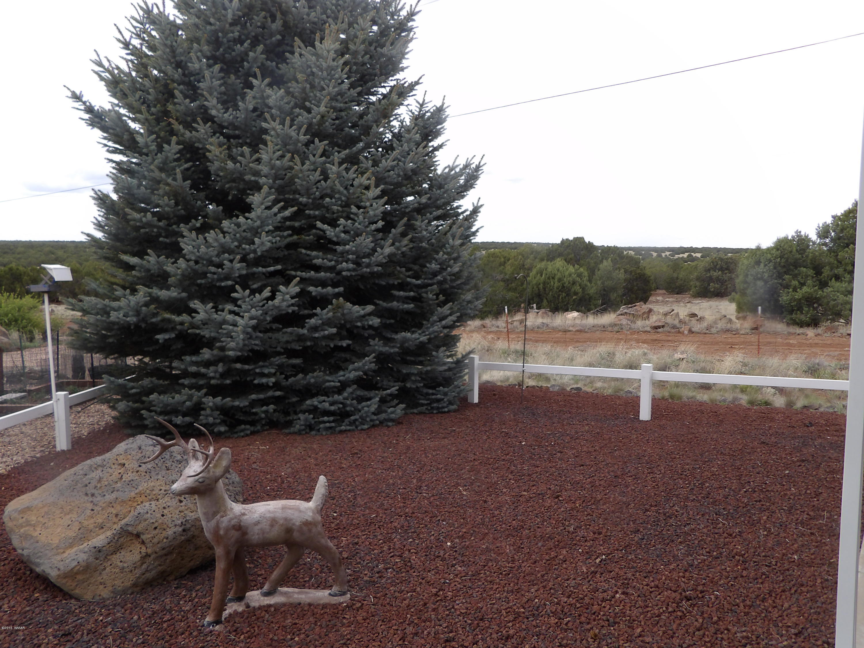 8237 Rainbow Loop Show Low, AZ 85901 - Photo 8 of 28
