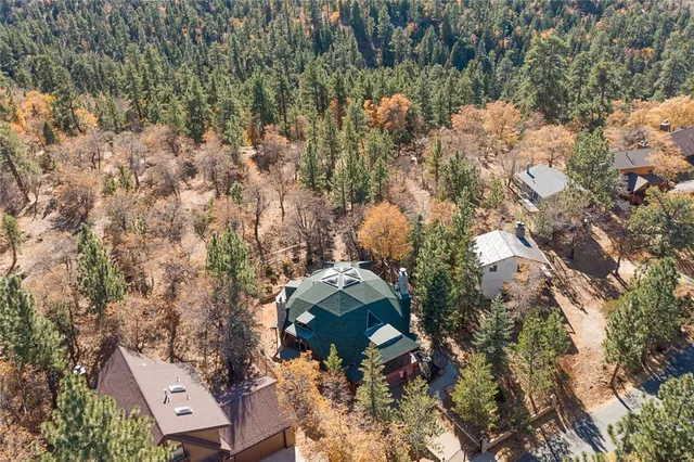 aerial view of a house with a yard and large trees