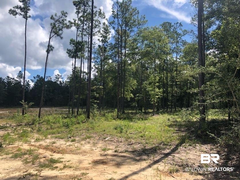 12359 Red Hill Rd Extension Bay Minette, AL 36507 - Photo 8 of 16