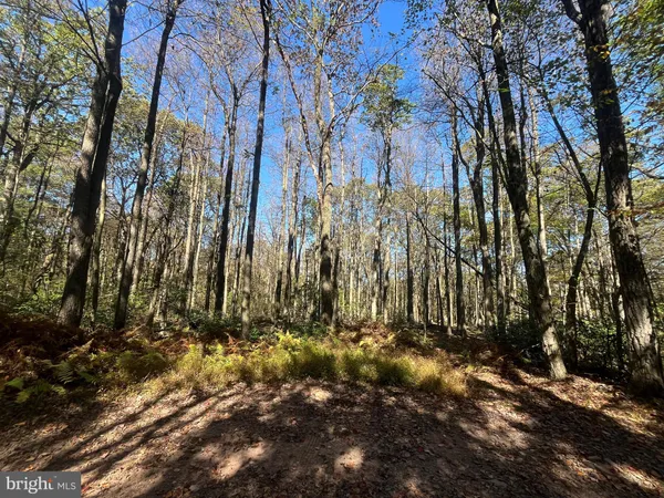 a view of backyard
