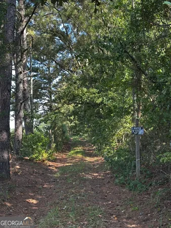 a view of outdoor space and trees