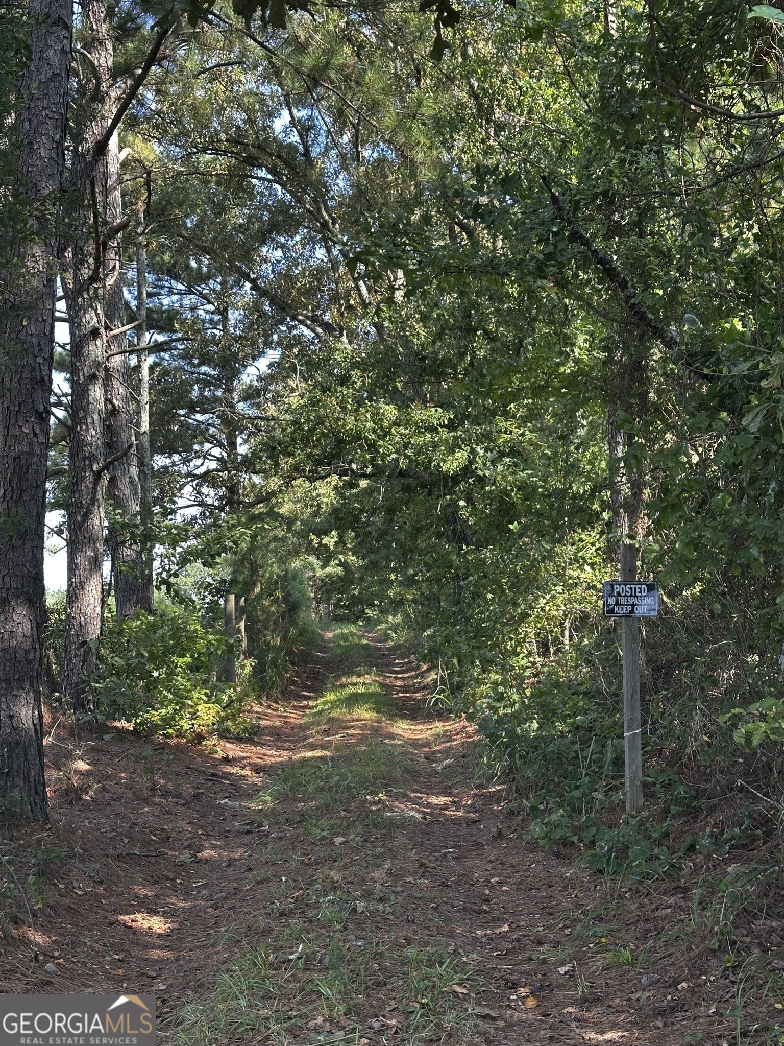 0 Huckaby Road Brooks, GA 30205 - Photo 11 of 15 a view of outdoor space and trees
