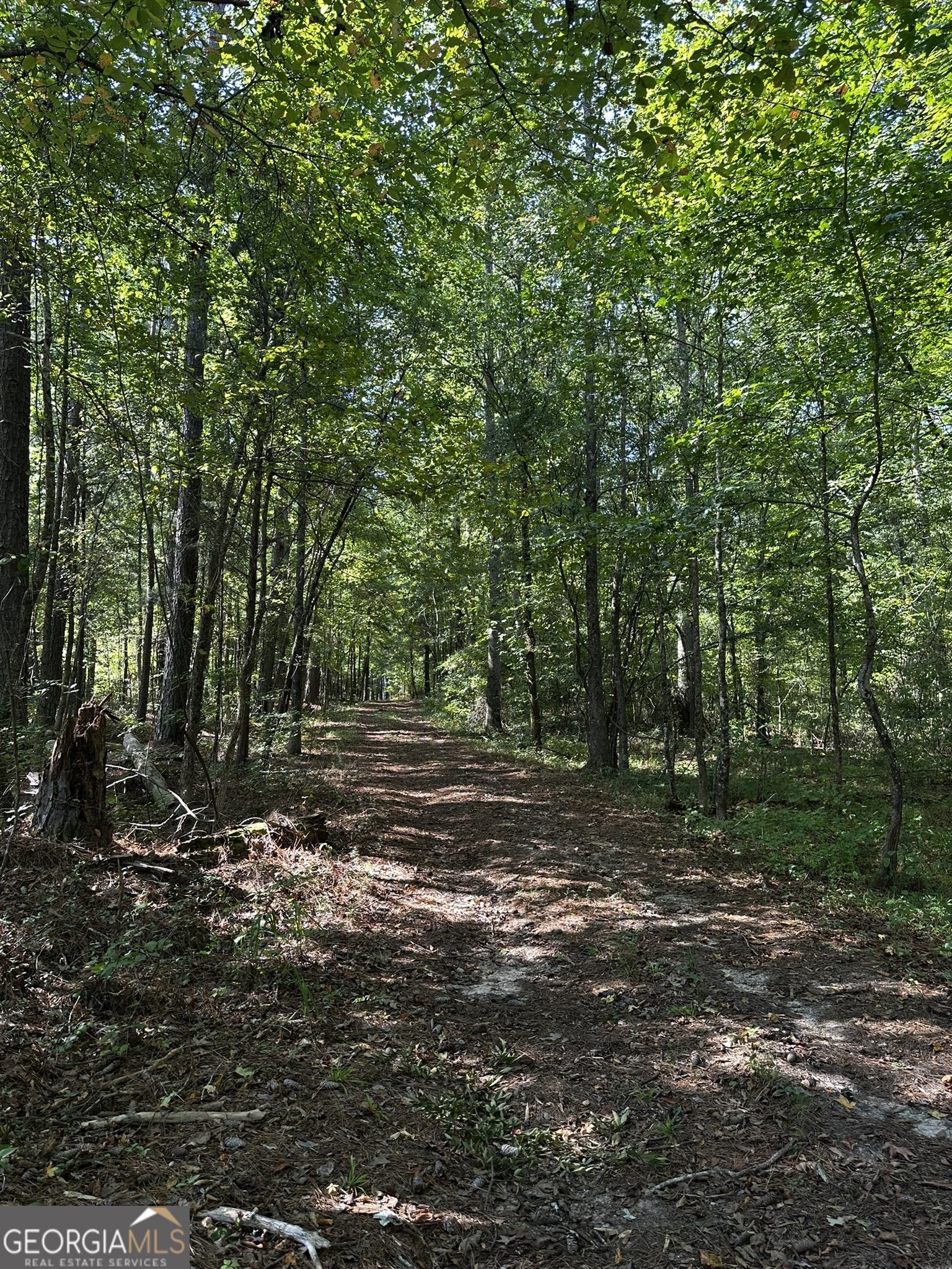 0 Huckaby Road Brooks, GA 30205 - Photo 8 of 15 a fire hydrant in the middle of a field