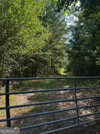 a view of a park