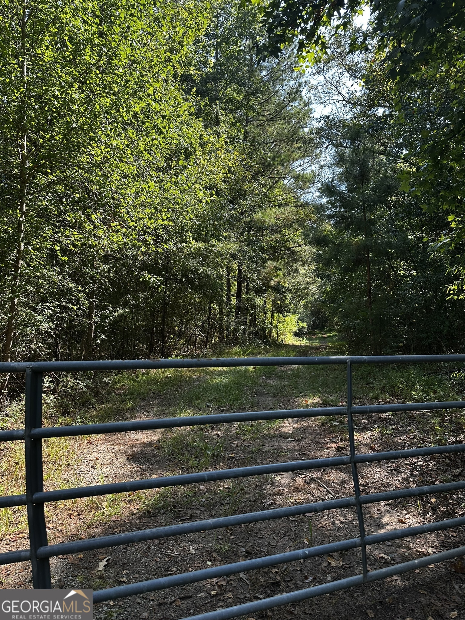 0 Huckaby Road Brooks, GA 30205 - Photo 9 of 15 a view of a park