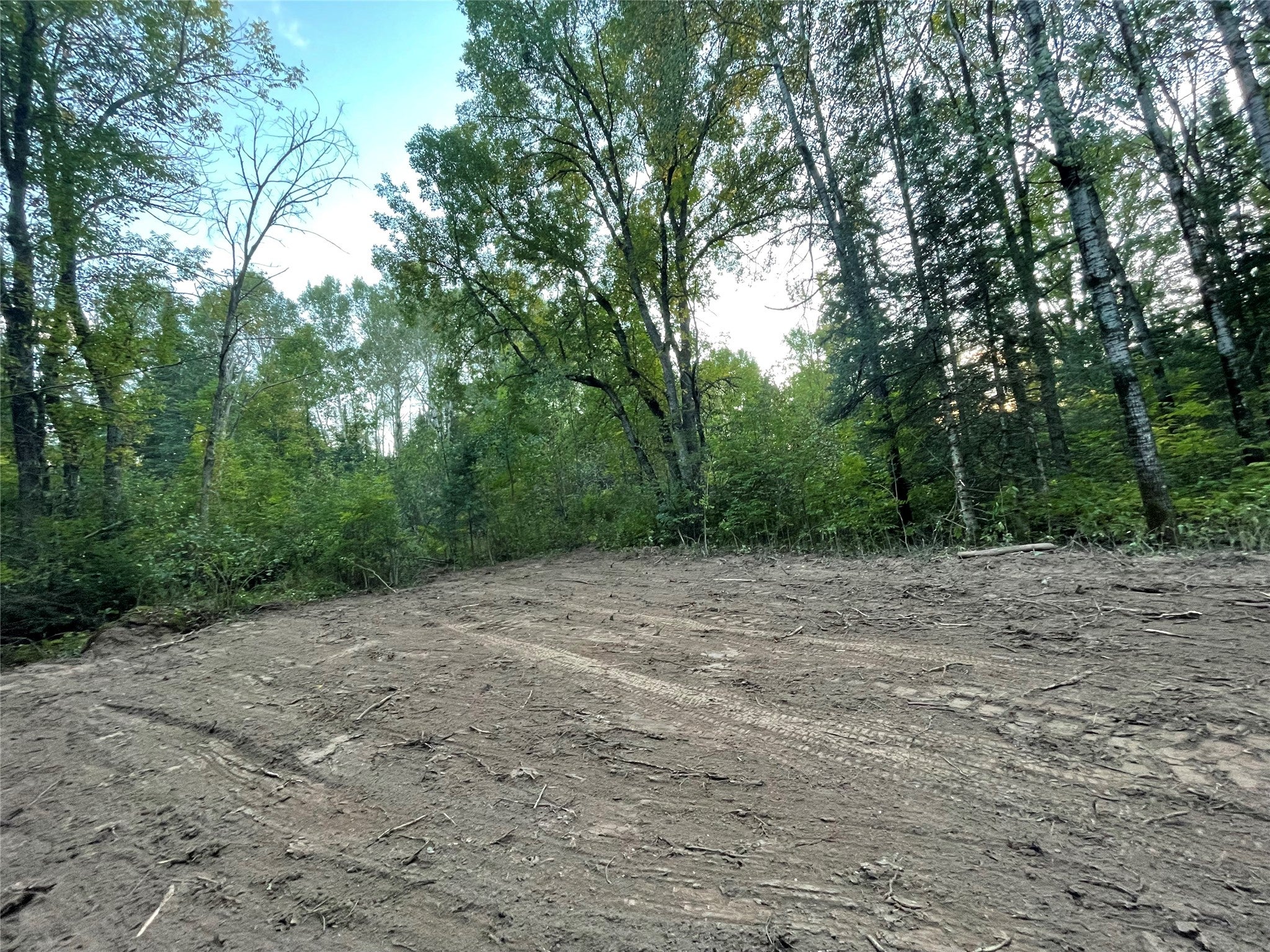 Lot 3 Fadness Road Winter, WI 54896 - Photo 10 of 19 Gallery Image 10
