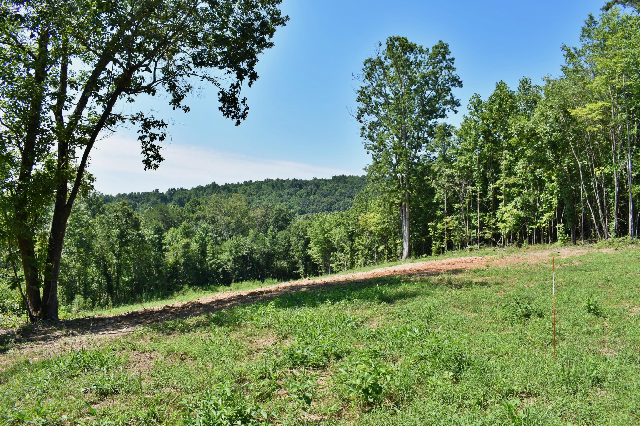 521 Norton Road Philadelphia, TN 37846 - Photo 13 of 42