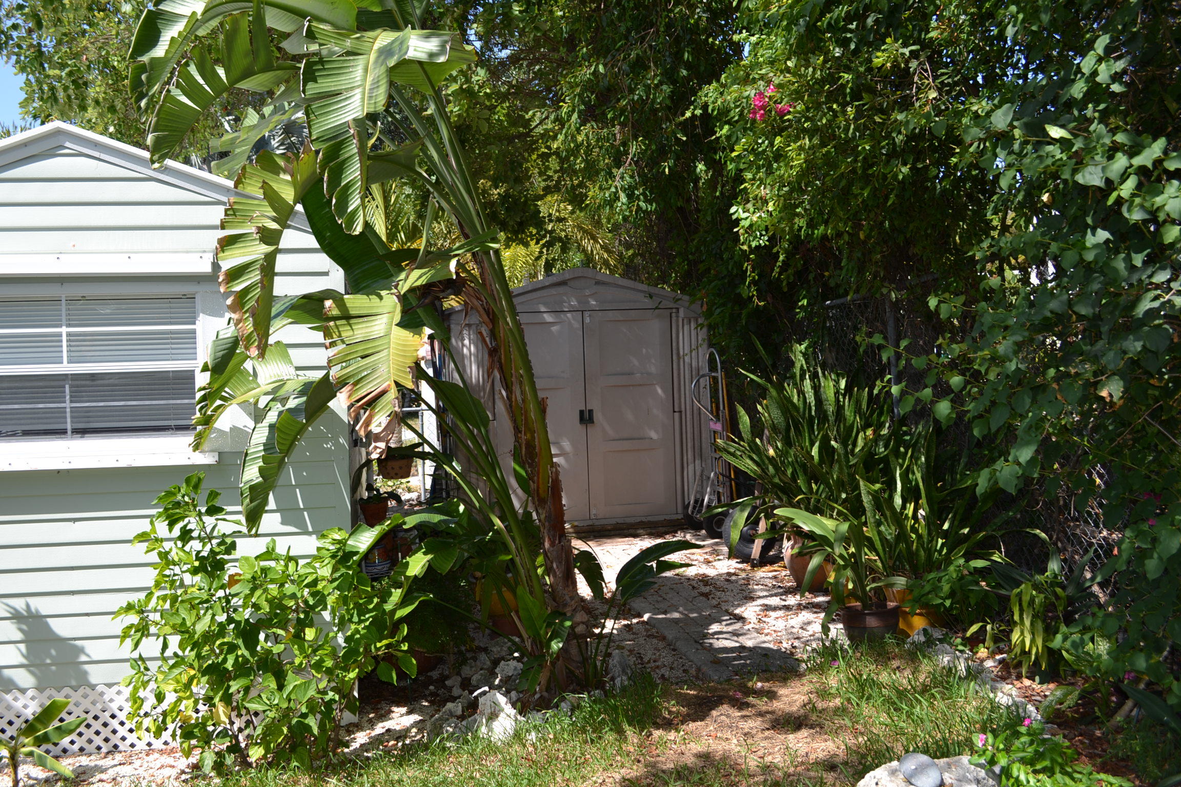 921 Plantation Road Key Largo, FL 33037 - Photo 9 of 27 Terri's house 012