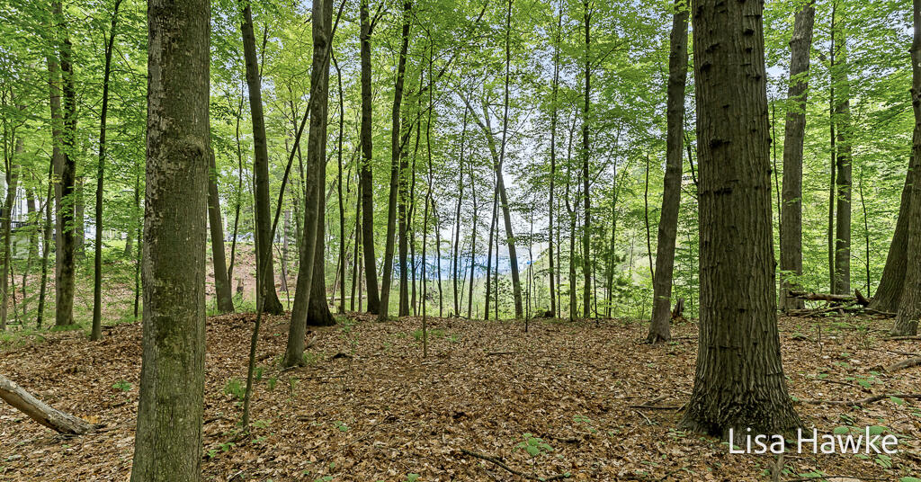 19047 North Fruitport Road Spring Lake, MI 49456 - Photo 51 of 53 19047N.FruitportRd-14LoRes