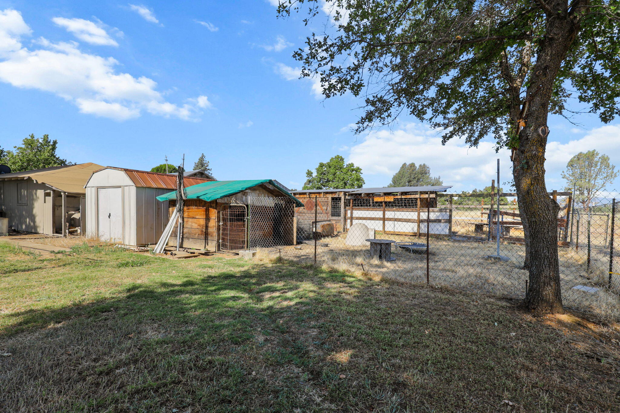 15680 Cloverdale Road Anderson, CA 96007 - Photo 13 of 27 Yard