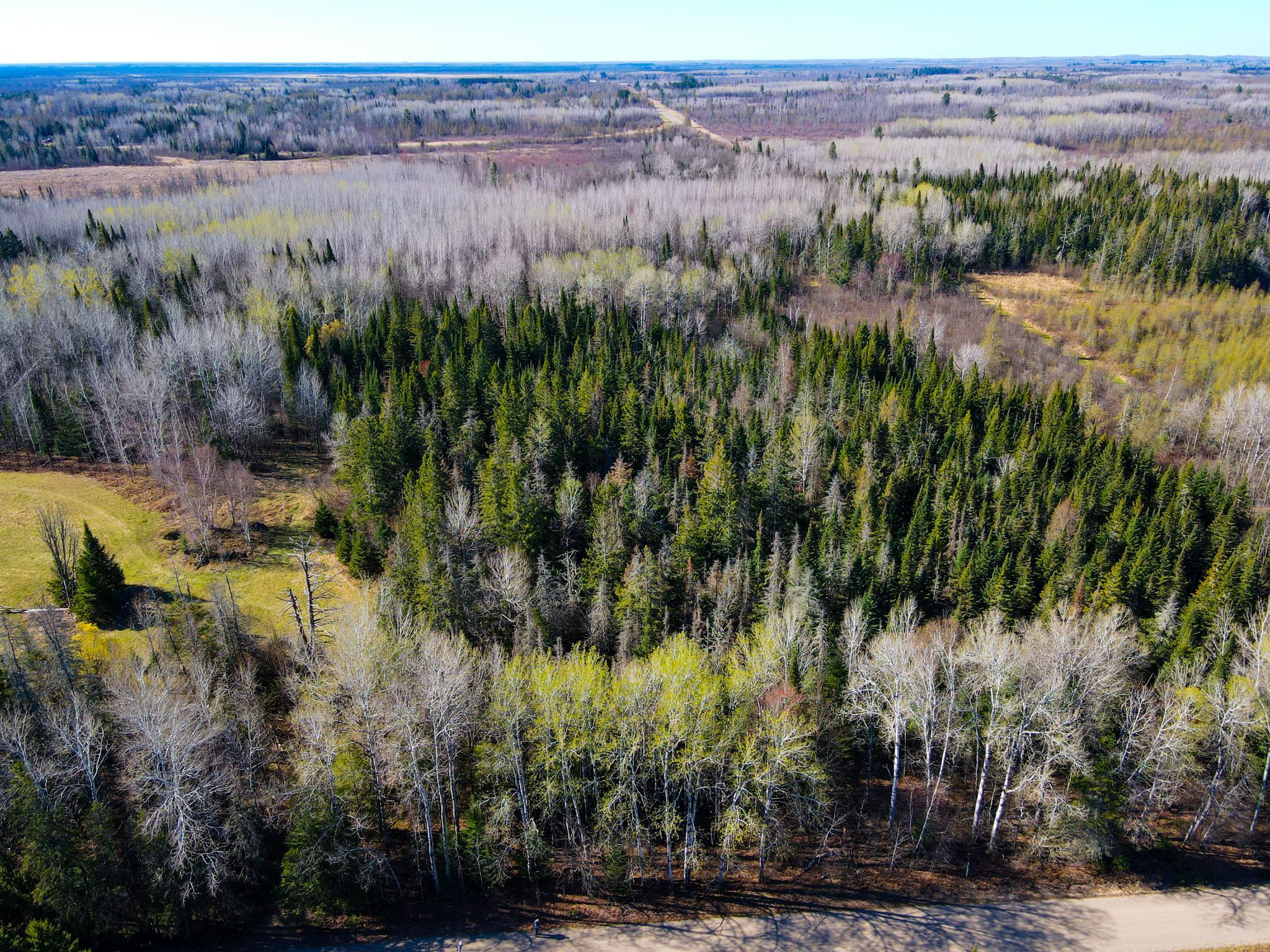 Parcel B Township Road East Floodwood, MN 55736 - Photo 12 of 13