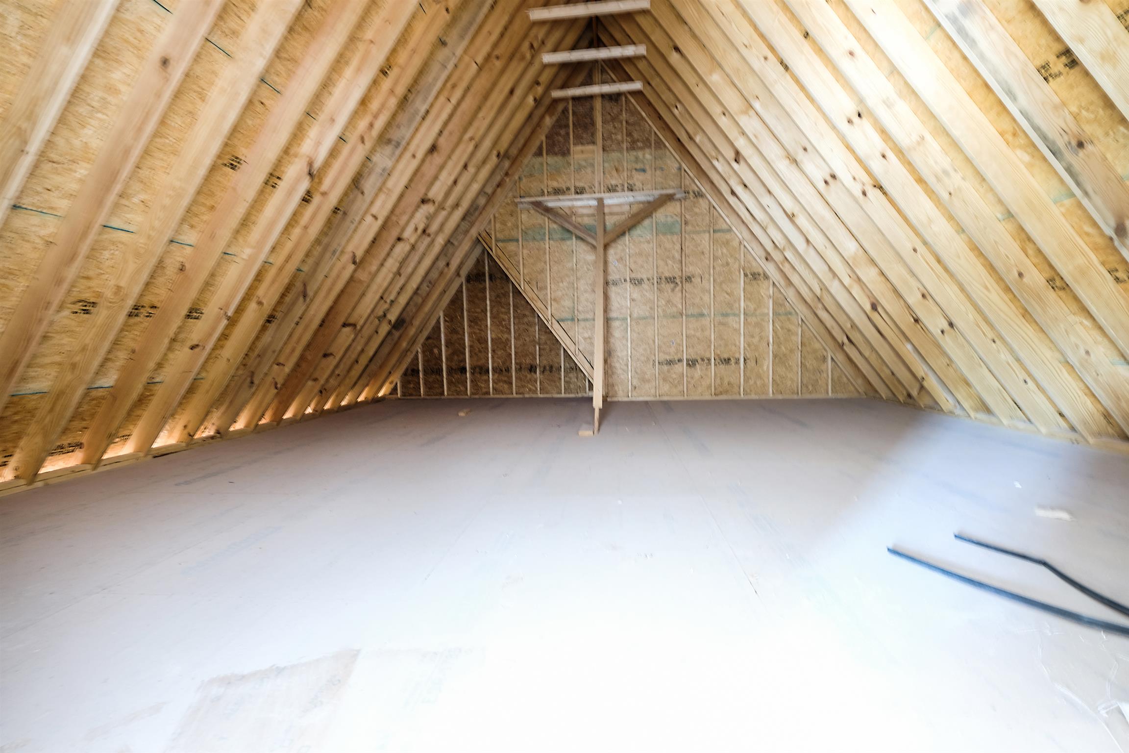 2039 Autumn Ridge Way Spring Hill, TN 37174 - Photo 25 of 30 Home has two MASSIVE STORAGE areas up.