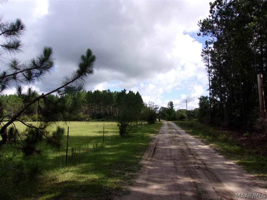 2037 Iron Bridge Road Samson, AL 36477 - Photo 36 of 36 Gate out to road