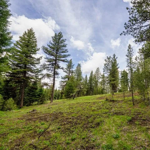 $600,000 | Lot 23 To Be Determined, Unit 23, McCall, ID 83638