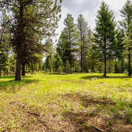 $600,000 | Lot 23 To Be Determined, Unit 23, McCall, ID 83638