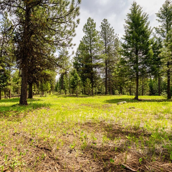 Lot 23 To Be Determined, Unit 23 McCall, ID 83638 - Photo 2 of 2