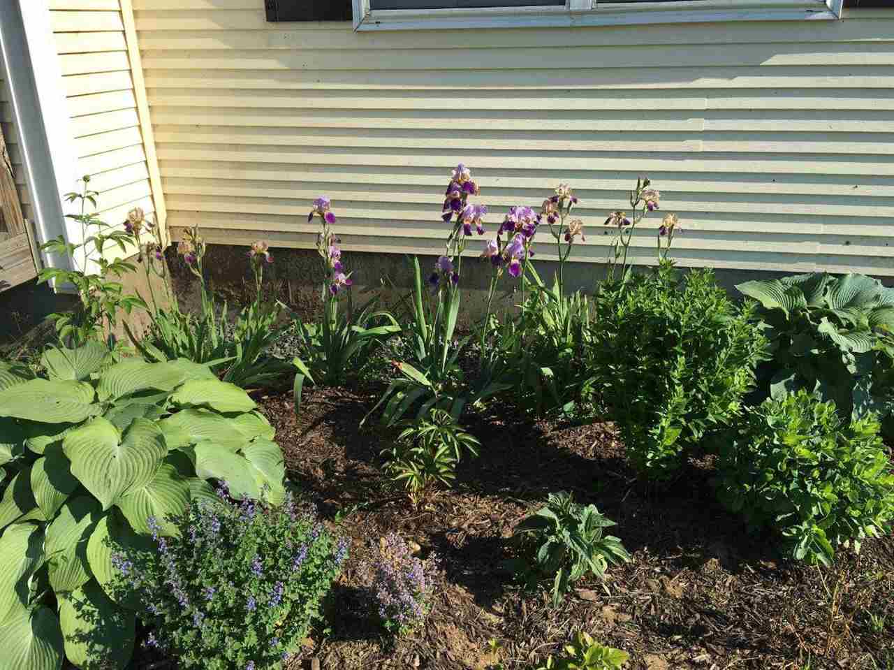 311 Plains Road Westford, VT 05494 - Photo 37 of 38 Gallery Image 37