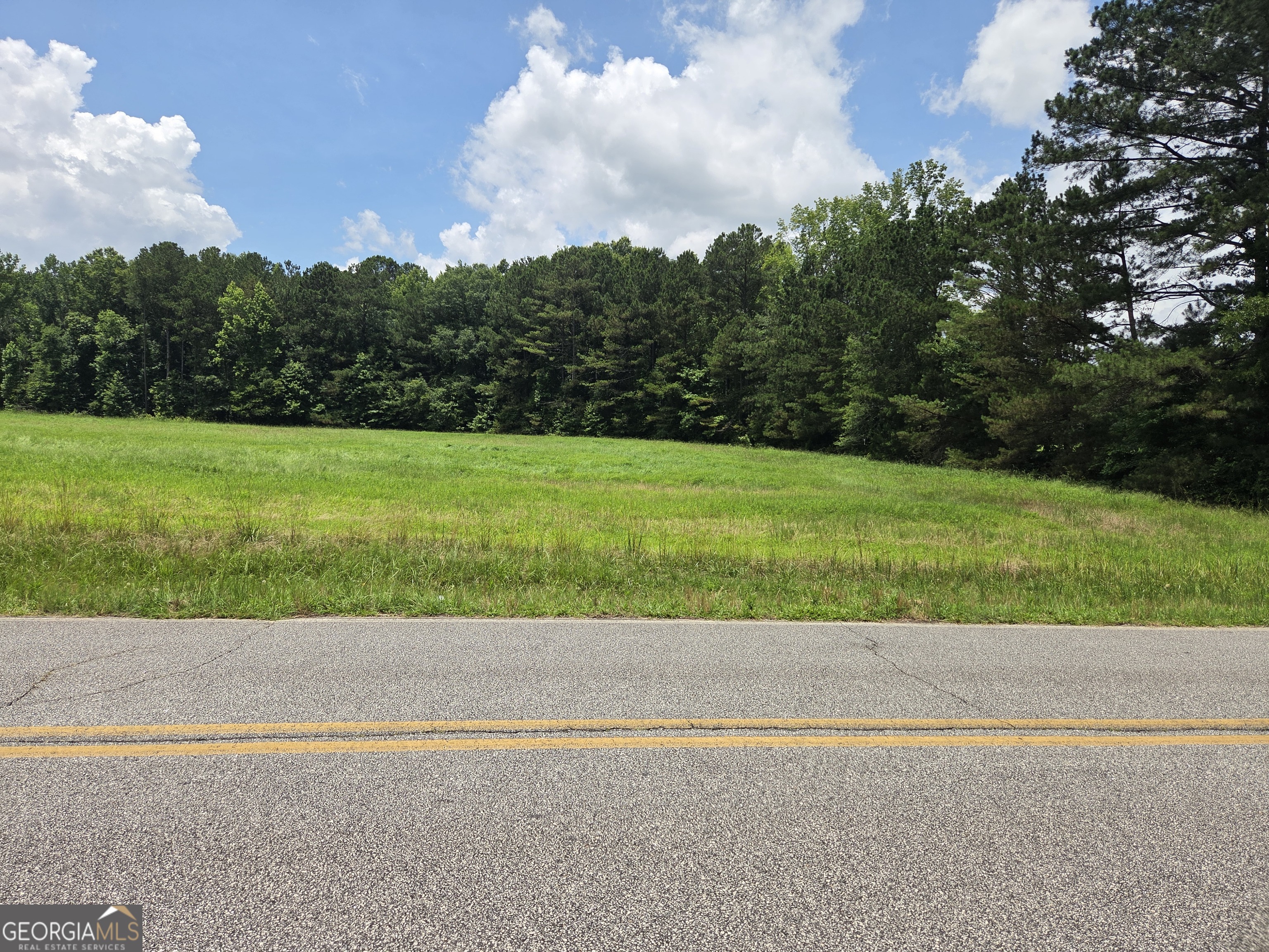 5409 Mt Carmel Road Gay, GA 30218 - Photo 7 of 7 Hay field
