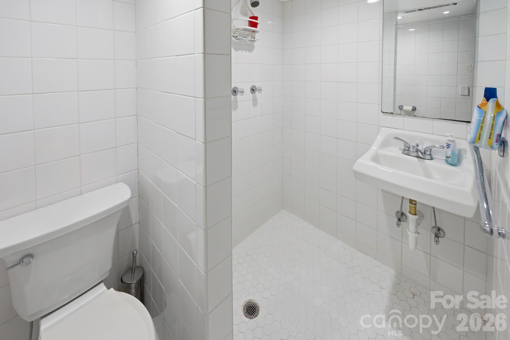 118 Rock Pt Road Lake Lure, NC 28746 - Photo 24 of 31 a bathroom with a sink a toilet and shower