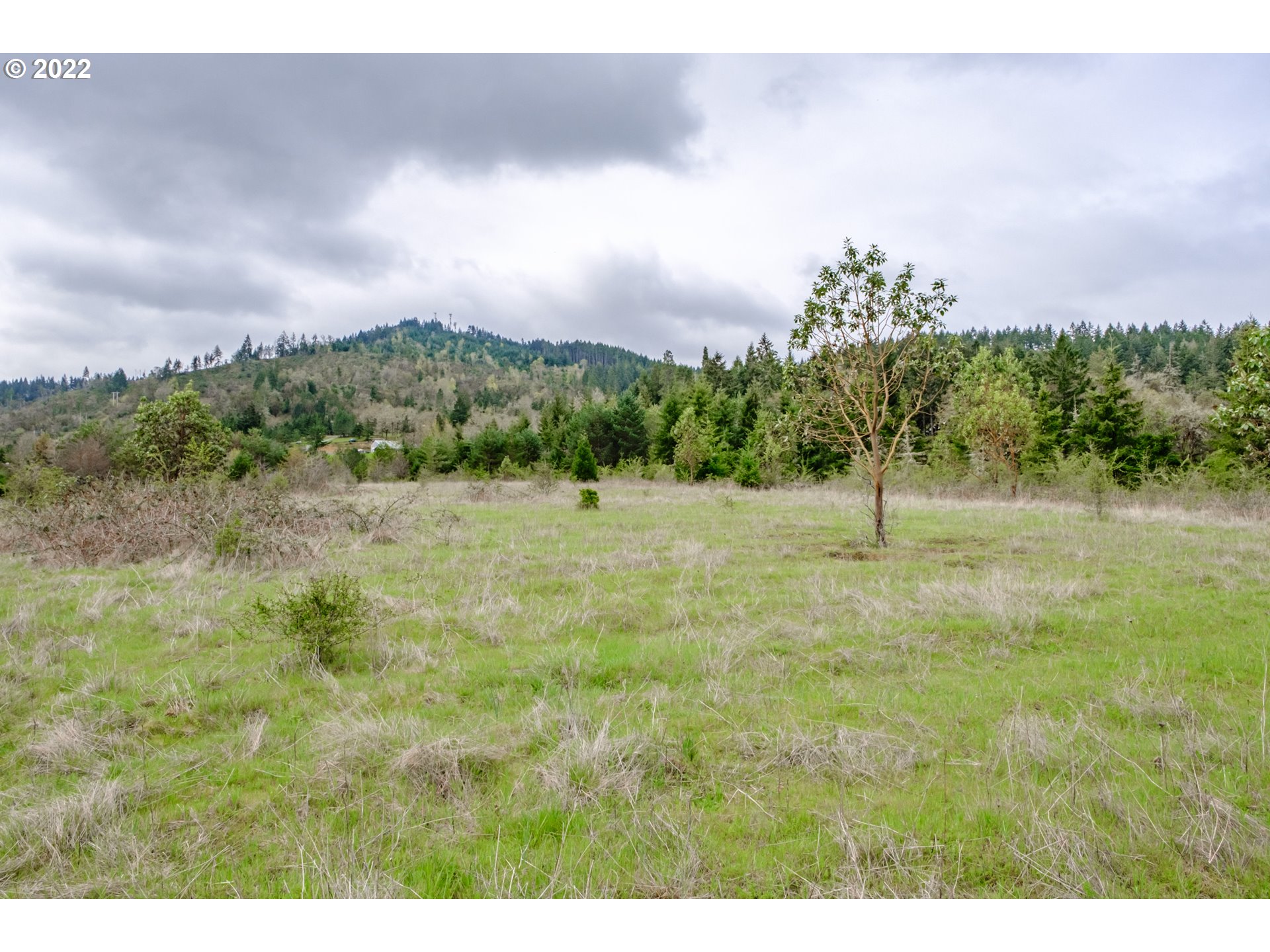 478 Fort McKay Road Sutherlin, OR 97479 - Photo 27 of 32 Gallery Image 27