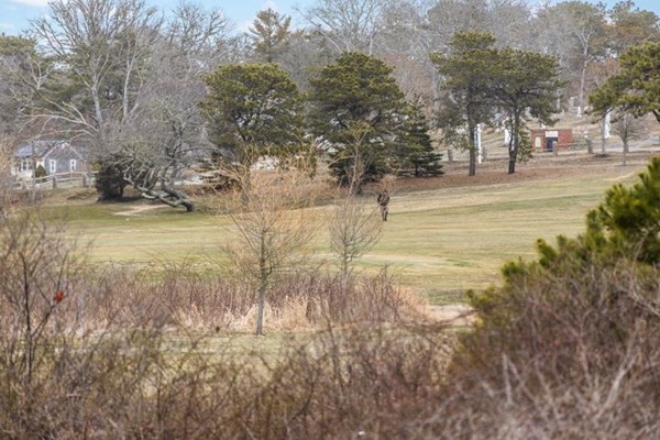7 Cod Lane, Unit 7 Harwich, MA 02646 - Photo 7 of 41 a view of yard with trees