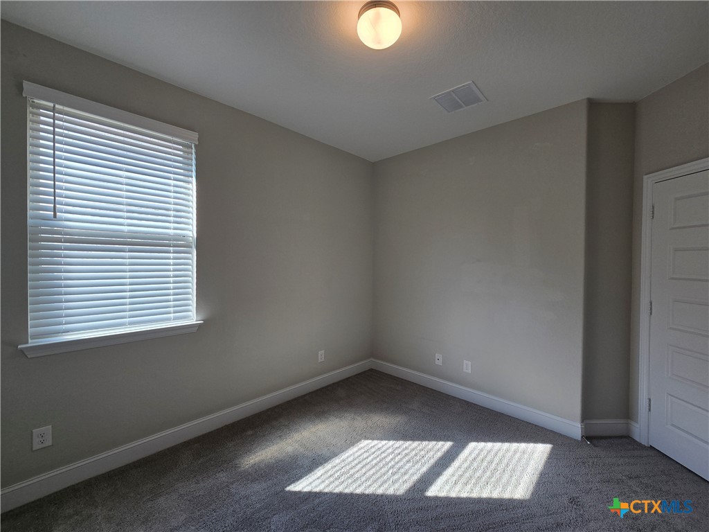 1324 Spring Row Street New Braunfels, TX 78132 - Photo 25 of 28