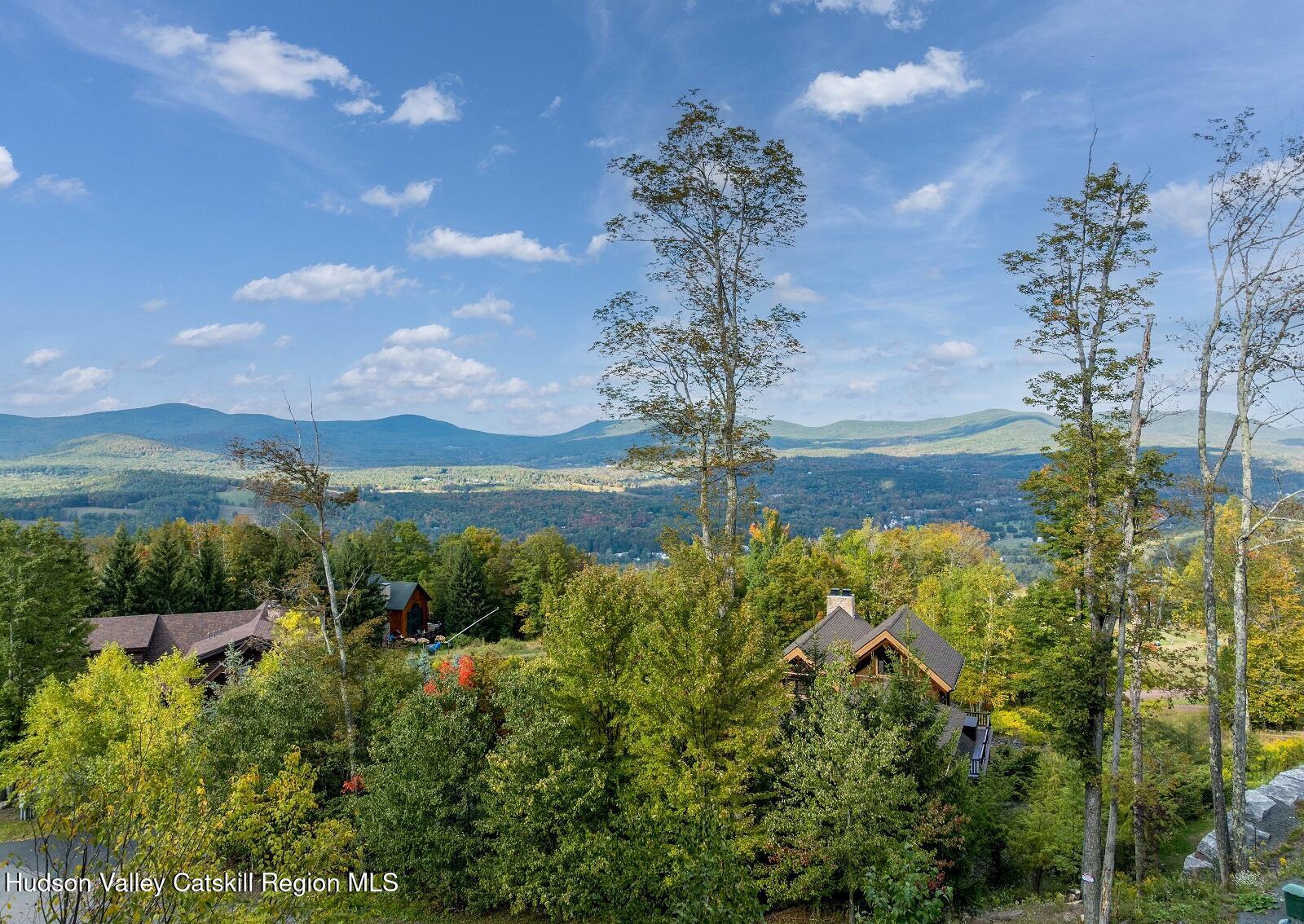 220-240 Club Road Windham, NY 12496 - Photo 6 of 9 DJI_0877-Edit