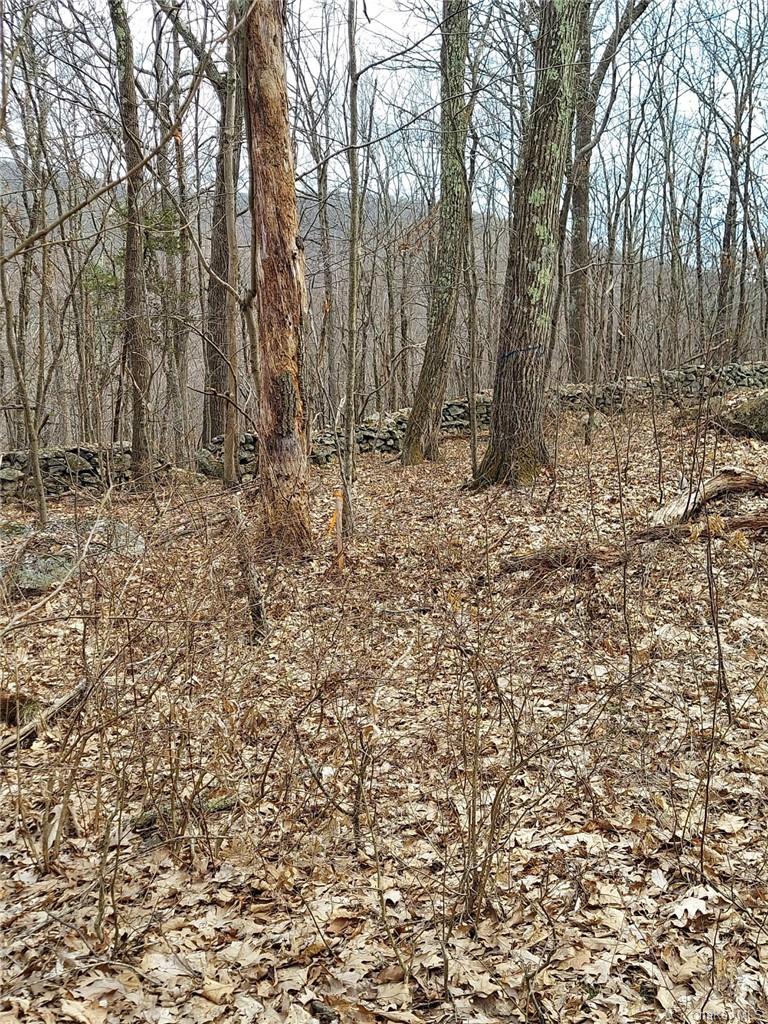 489 Grape Hollow Road Holmes, NY 12531 - Photo 9 of 24 Gallery Image 9
