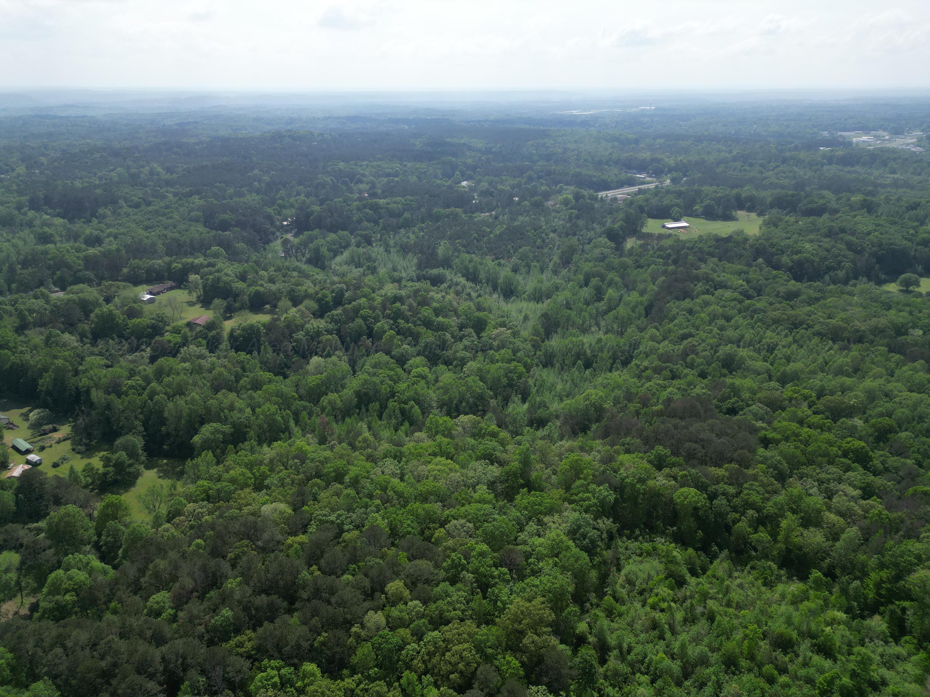 Tucker Road Jasper, AL 35504 - Photo 7 of 10 DJI_0303