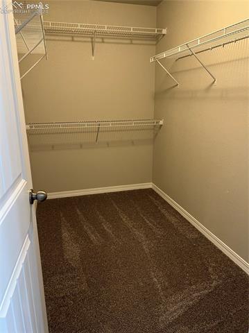11066 Avena Road Peyton, CO 80831 - Photo 14 of 25 Generous walk-in closet