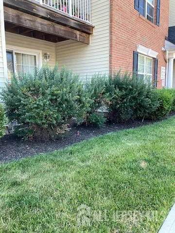 a view of backyard with potted plants and wooden fence