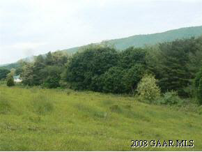 1762 Summerdean Road Middlebrook, VA 24459 - Photo 8 of 11 a view of a field with an trees