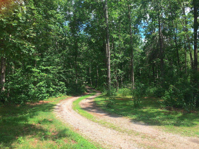302 Muddy Pond Road Monterey, TN 38574 - Photo 29 of 38 169727_28