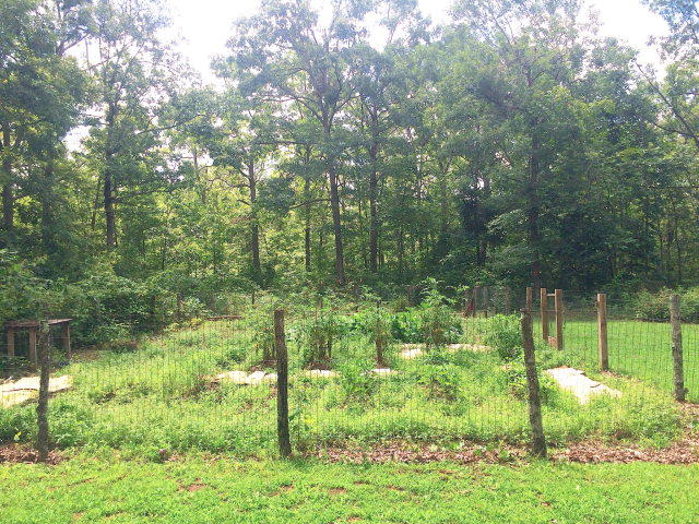 302 Muddy Pond Road Monterey, TN 38574 - Photo 34 of 38 169727_35