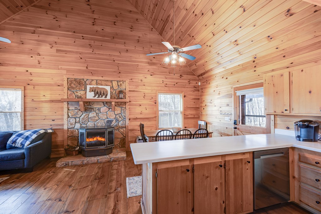 325 Mountain Ridge Blue Ridge, GA 30513 - Photo 16 of 53 Gallery Image 16