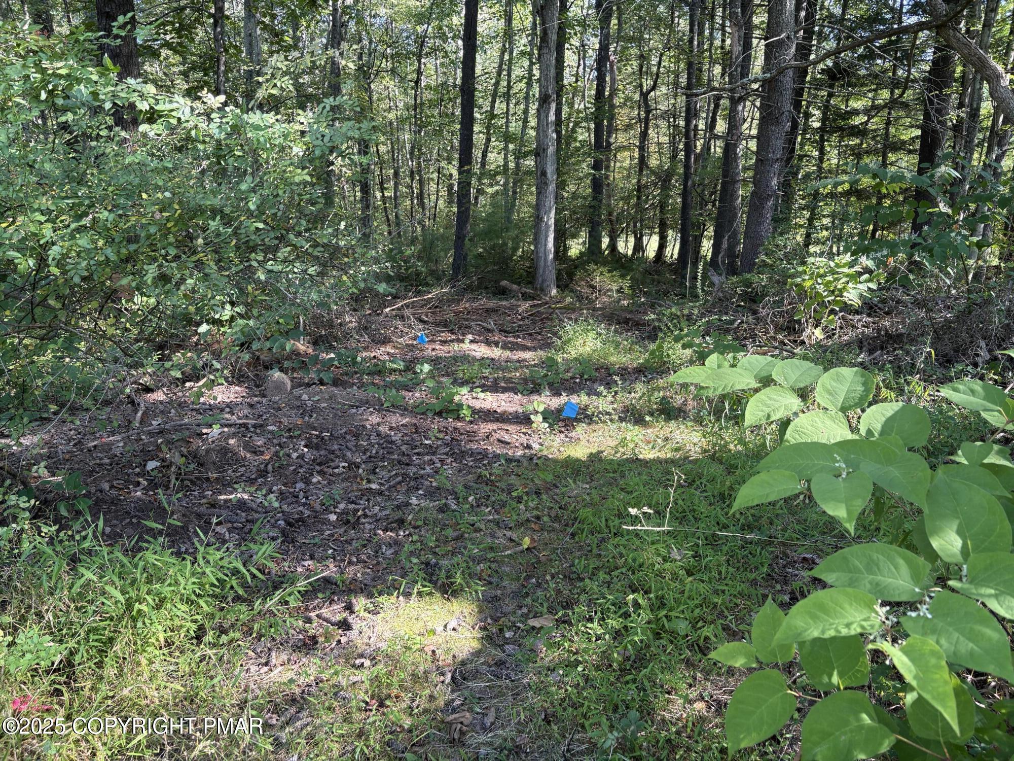 Septic Site