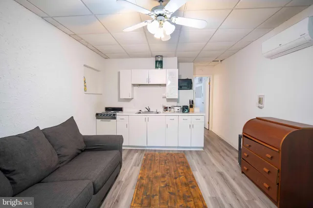 a view of a forest with trees