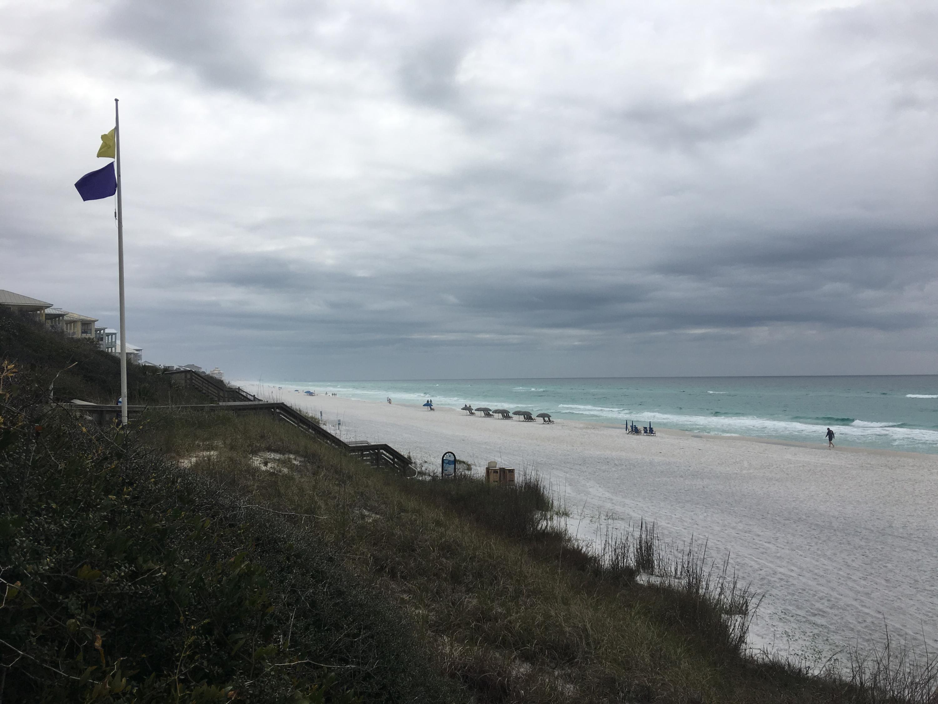 4100 East County Highway 30A, Unit 204 Santa Rosa Beach, FL 32459 - Photo 22 of 27 a view of a city street with a big yard