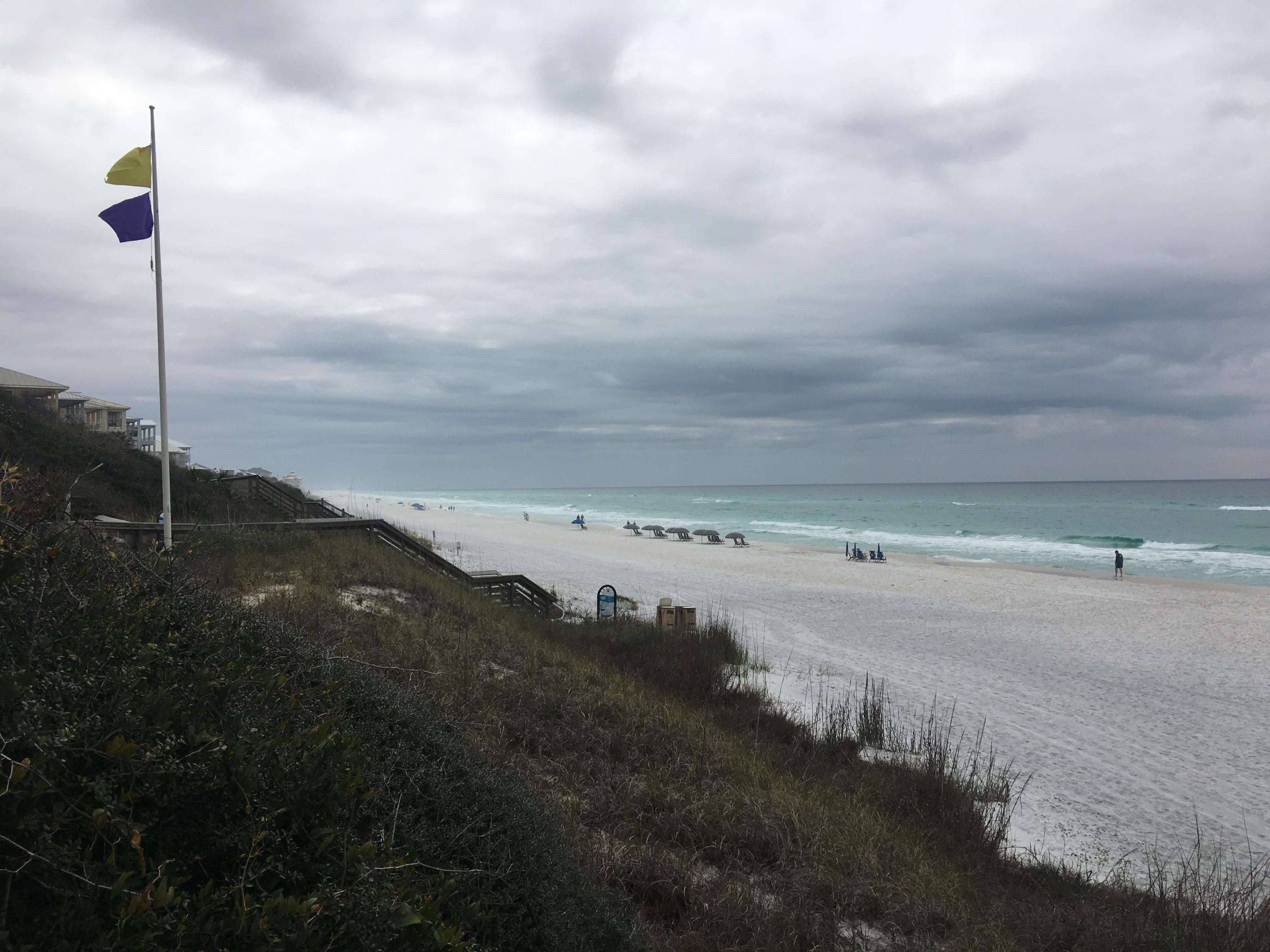 4100 East County Highway 30A, Unit 204 Santa Rosa Beach, FL 32459 - Photo 23 of 27 a view of an ocean beach