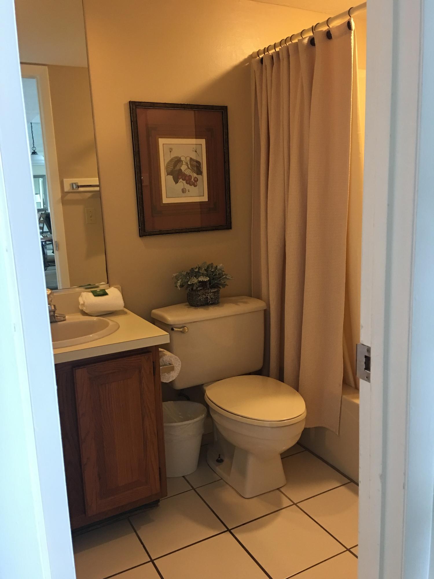 4100 East County Highway 30A, Unit 204 Santa Rosa Beach, FL 32459 - Photo 10 of 27 a bathroom with a sink toilet and shower