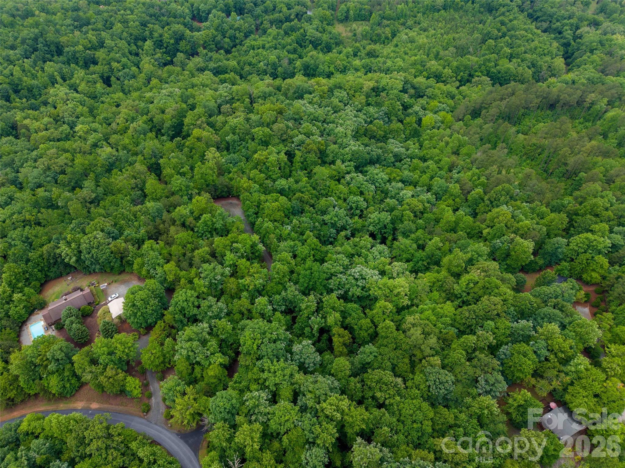 0 Bee Gee Drive Rutherfordton, NC 28139 - Photo 21 of 26