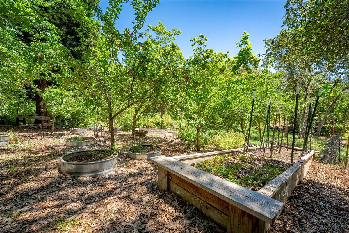 10947 East Lime Kiln Road Grass Valley, CA 95949 - Photo 68 of 94 Raised garden beds