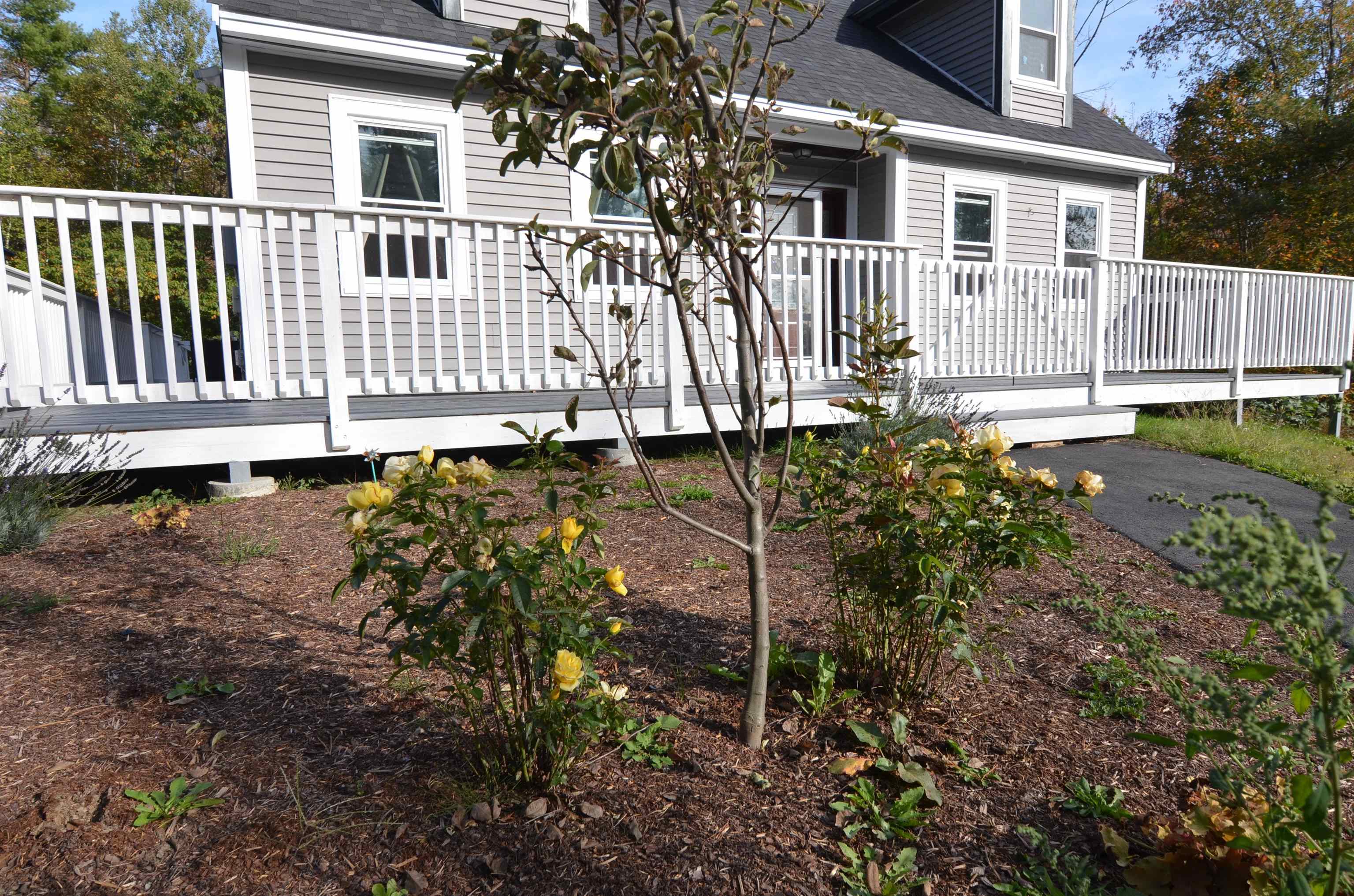 435 Messer Hill Road Springfield, NH 03284 - Photo 32 of 32