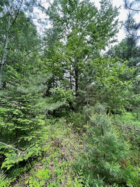 Ray Road Mio, MI 48647 - Photo 24 of 30 Gallery Image 24